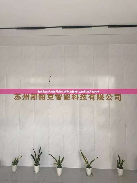 電裝機器人保養(yǎng)蕪湖市,蘇州凱鉑克-工業(yè)機器人服務商