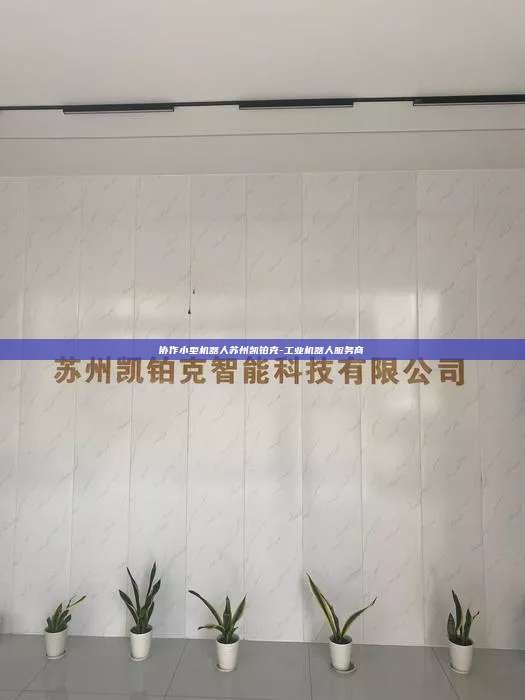 協作小型機器人蘇州凱鉑克-工業機器人服務商
