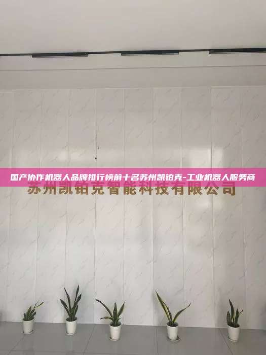國產協作機器人品牌排行榜前十名蘇州凱鉑克-工業機器人服務商