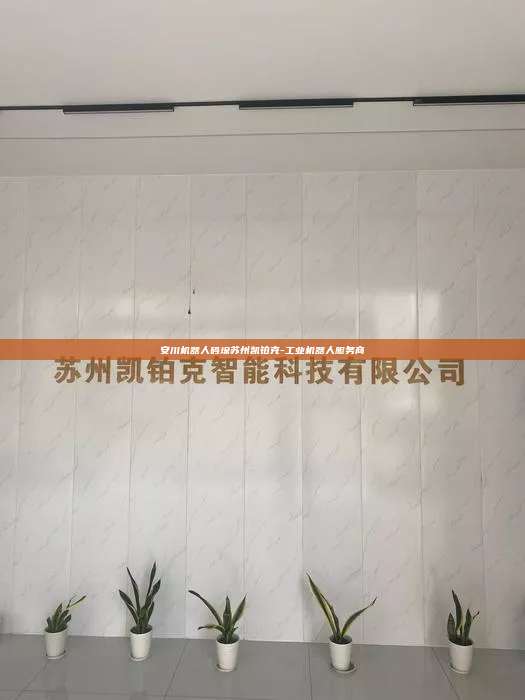 安川機器人碼垛蘇州凱鉑克-工業機器人服務商