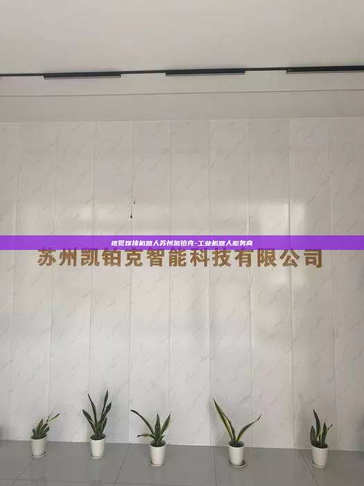 視覺焊接機器人蘇州凱鉑克-工業(yè)機器人服務商