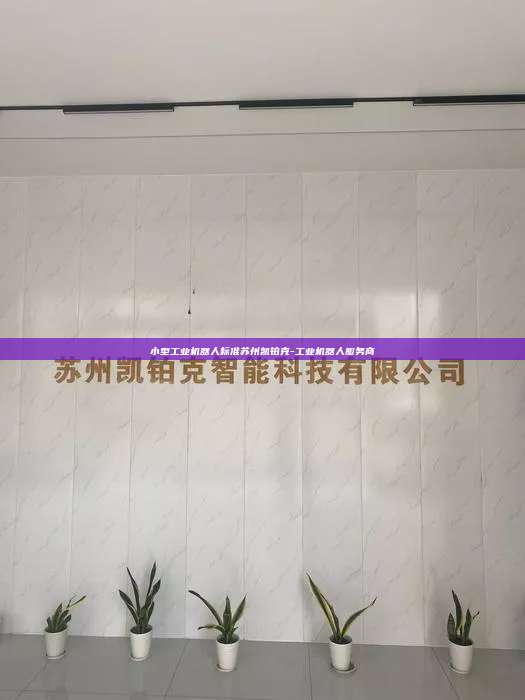 小型工業機器人標準蘇州凱鉑克-工業機器人服務商