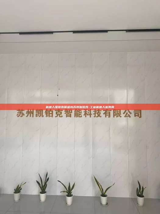機器人維修有前途嗎蘇州凱鉑克-工業(yè)機器人服務(wù)商