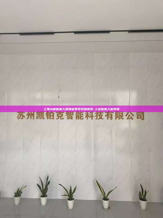 上海川崎機器人維修保養蘇州凱鉑克-工業機器人服務商