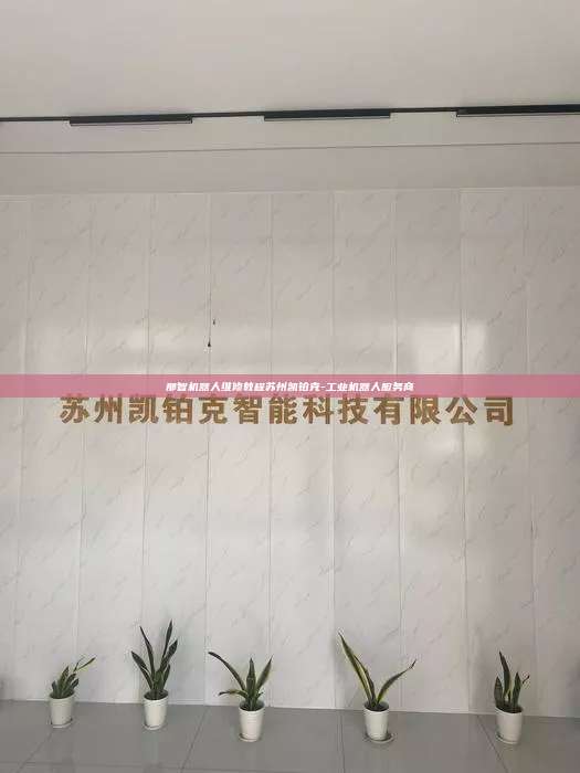 那智機器人維修教程蘇州凱鉑克-工業(yè)機器人服務商